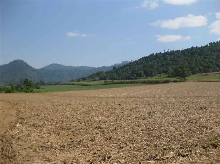 Third view of Homely rural property listing, 126 Shell Pocket Road, Shell Pocket QLD 4855