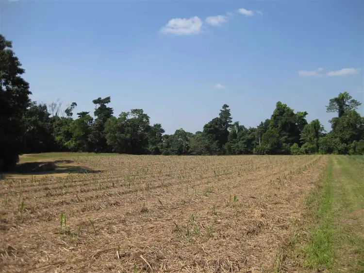 Sixth view of Homely rural property listing, 126 Shell Pocket Road, Shell Pocket QLD 4855