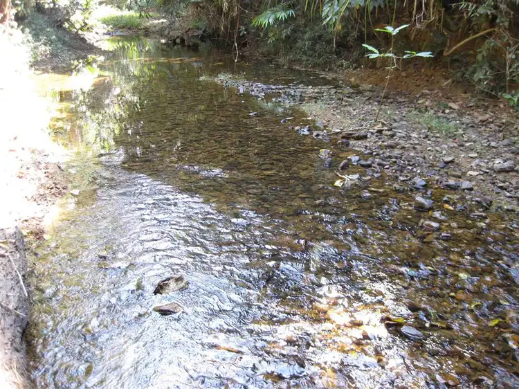 Seventh view of Homely rural property listing, 126 Shell Pocket Road, Shell Pocket QLD 4855