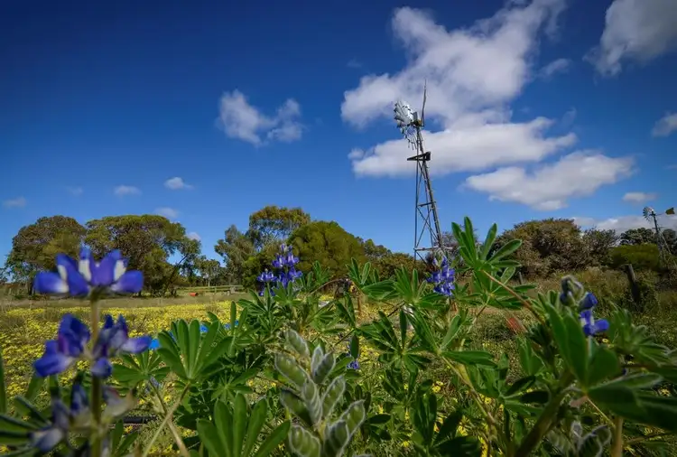 Sixth view of Homely house listing, 36524 Coolgardie Hwy, Monjingup WA 6450