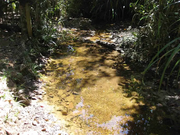 Fifth view of Homely rural property listing, Lot 2 Lauder Road, Bilyana QLD 4854