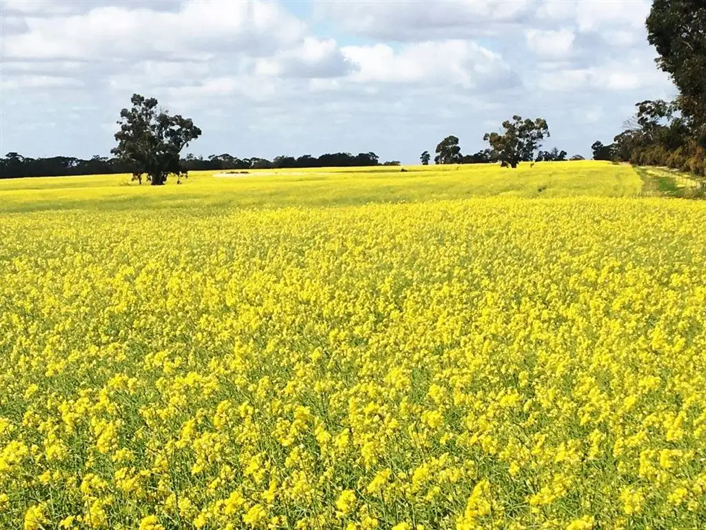 Main view of Homely rural property listing, Address available on request