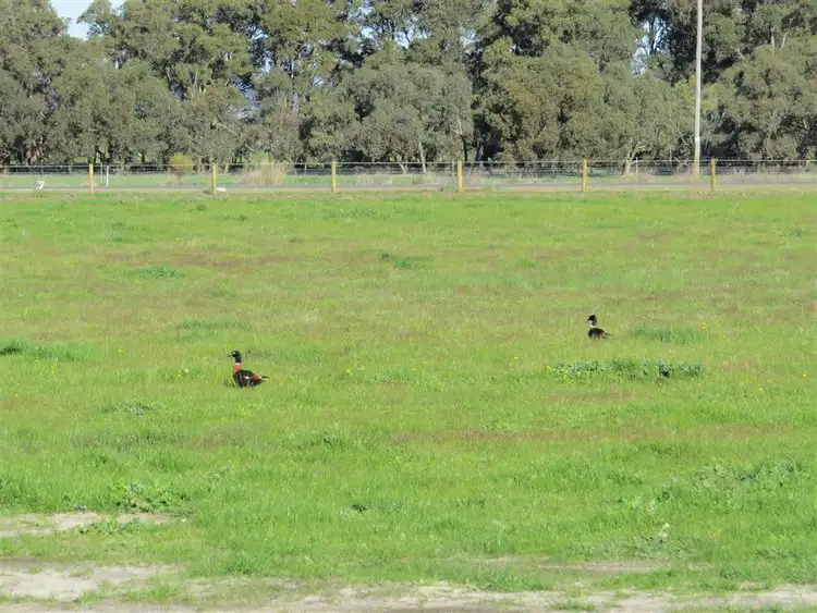 Second view of Homely land listing, Lot 51 Wandering Drive, North Dandalup WA 6207