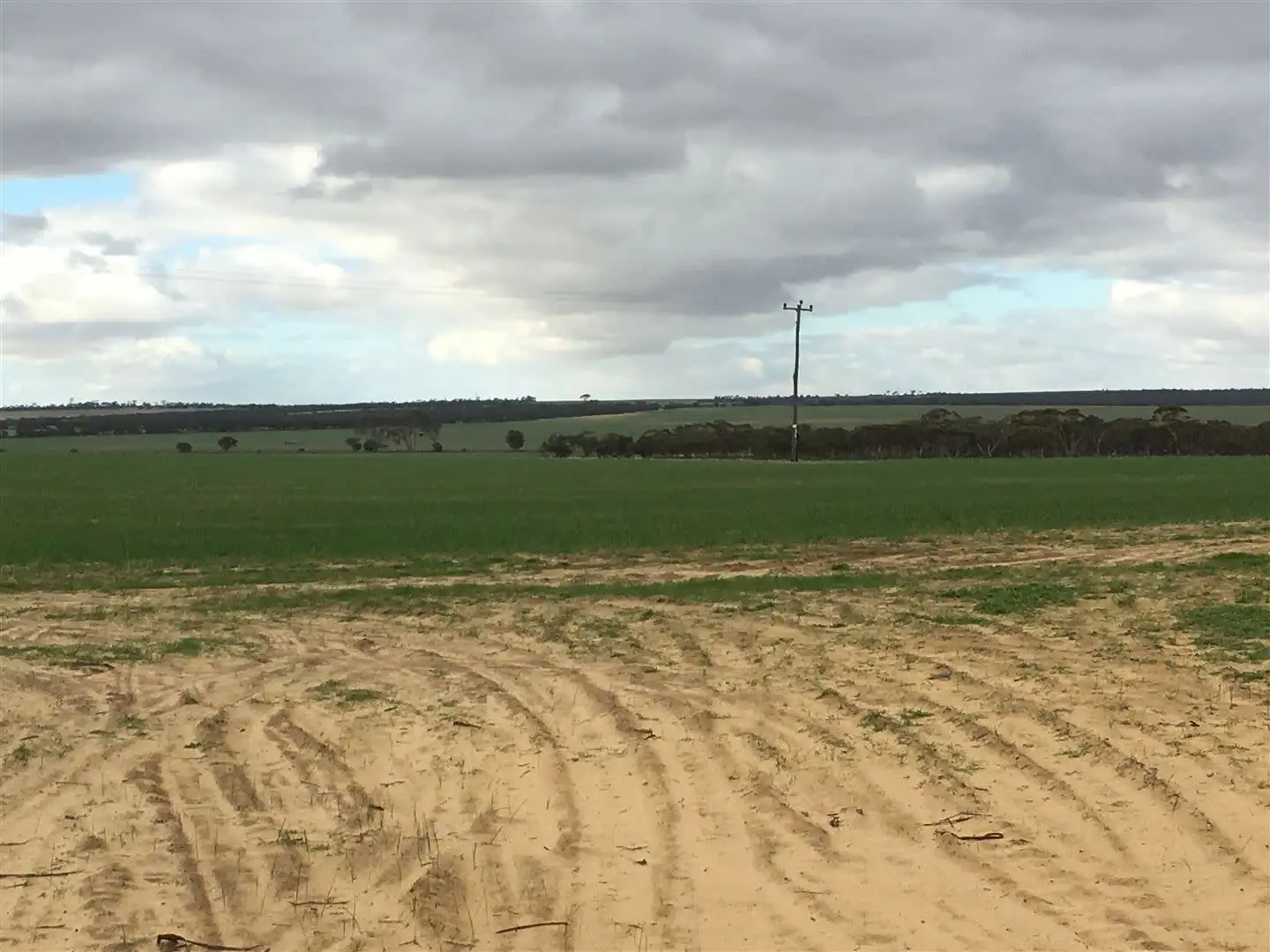 Main view of Homely rural property listing, Address available on request