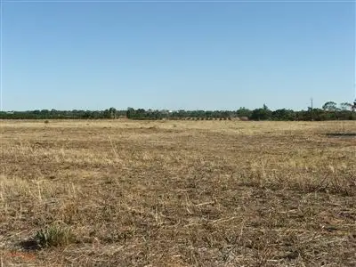 Fifth view of Homely rural property listing, 252 Distillery, Monash SA 5342