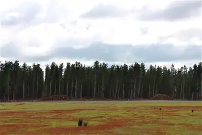 Seventh view of Homely rural property listing, 279 Bennett Road, Napier WA 6330