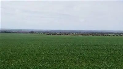 Third view of Homely rural property listing, Address available on request
