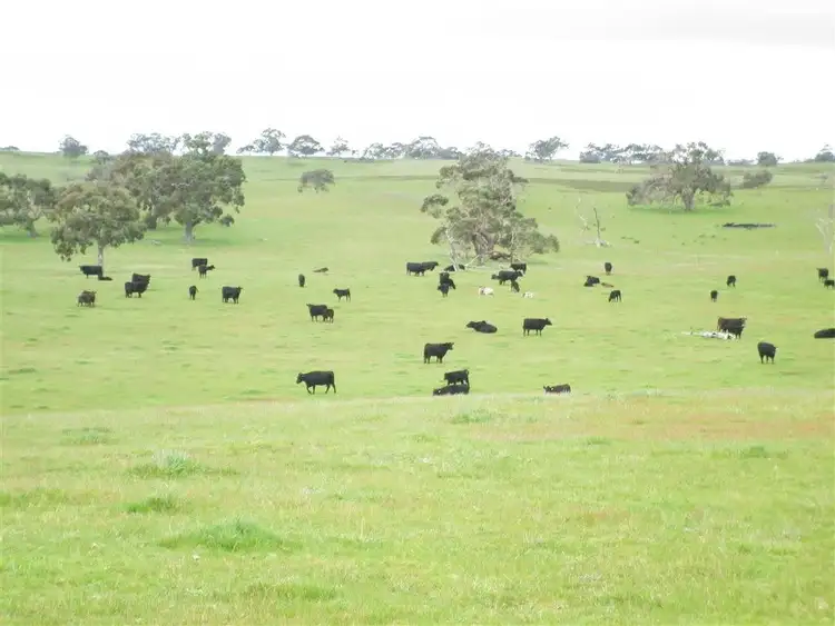 Sixth view of Homely rural property listing, Section 65 Mail Bridge Road, Kingston Se SA 5275