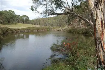 Second view of Homely rural property listing, 3339 Niangala Road, Walcha NSW 2354