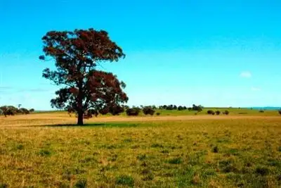 Third view of Homely rural property listing, 451 Clancys Road 'Merrill', Gunning NSW 2581