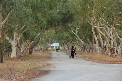 Fourth view of Homely house listing, 159 Larsen Road, Byford WA 6122