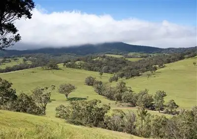 Fifth view of Homely rural property listing, Herongate/450 Fullers Lane, Wallabadah NSW 2343