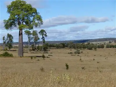 Main view of Homely rural property listing, . "Belle Eau", Taroom QLD 4420