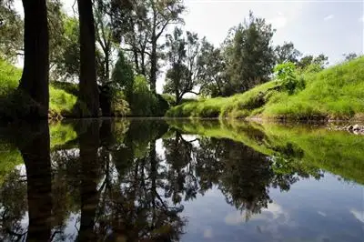 Main view of Homely rural property listing, 346 Wallington Rd, "Wongabeena", Scone NSW 2337