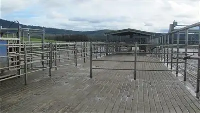 Sixth view of Homely rural property listing, 79 Wagners Road, Winnaleah TAS 7265