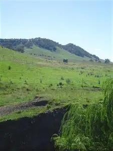 Fourth view of Homely rural property listing, 874 Bara Rd, Mudgee NSW 2850