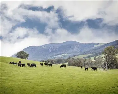 Main view of Homely rural property listing, 2080 Euroa - Mansfield Road, Euroa VIC 3666