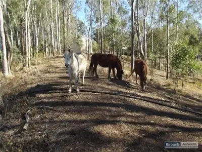 Fifth view of Homely rural property listing, 138 Sharon Drive, North Maclean QLD 4280