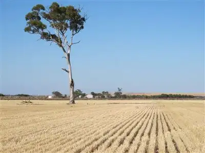 Main view of Homely rural property listing, Address available on request