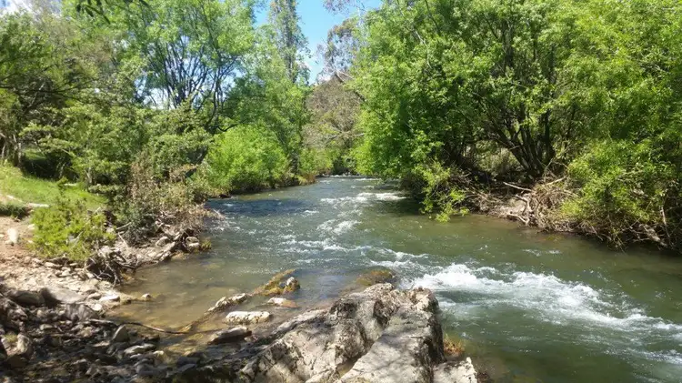 Third view of Homely rural property listing, 2704 Benambra-Corryong Rd, Nariel Valley VIC 3707