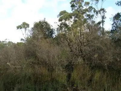 Seventh view of Homely rural property listing, Lot 11 Ansons Road, Gladstone TAS 7264