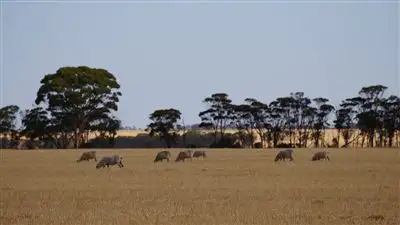 Fifth view of Homely rural property listing, Address available on request