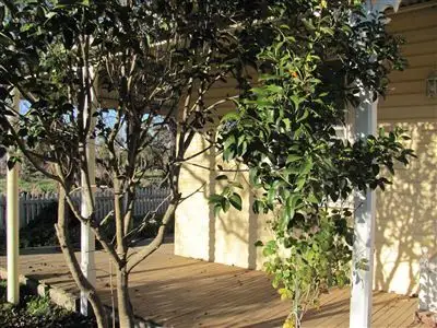 Second view of Homely house listing, 10 Murray Street, Holbrook NSW 2644