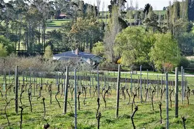 46 Montana Rd, Deloraine TAS 7304