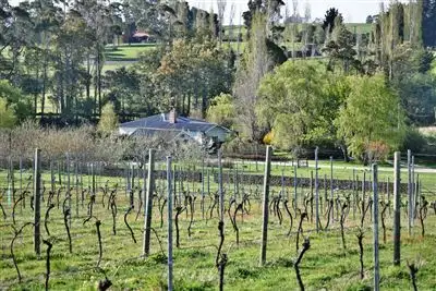 Main view of Homely rural property listing, 46 Montana Rd, Deloraine TAS 7304