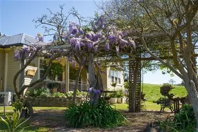 Third view of Homely rural property listing, 2345 Waverley Rd, "Pine Tree", Timor via, Scone NSW 2337