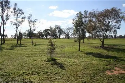 Fifth view of Homely rural property listing, 2067 Dubbo Burroway Rd, Dubbo NSW 2830