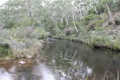 Second view of Homely rural property listing, 579 Northangera Road, Mongarlowe via, Braidwood NSW 2622