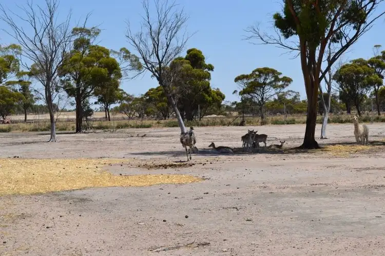 Seventh view of Homely rural property listing, Address available on request