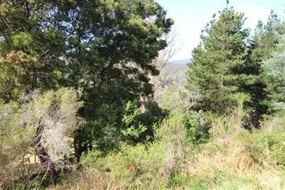 Third view of Homely land listing, 8 Mulhern Street, Derby TAS 7264