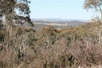 Fourth view of Homely rural property listing, 1017 Bombay Road, Braidwood NSW 2622