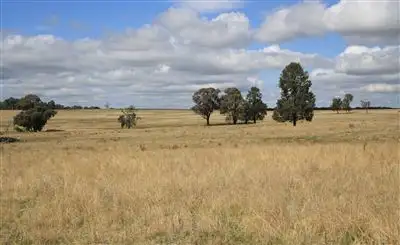 Sixth view of Homely rural property listing, 155r Dilladerry, Dubbo NSW 2830