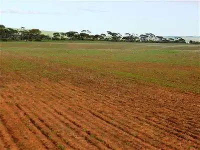 Fifth view of Homely rural property listing, Sec 10 Lower Templeton Road, Whitwarta SA 5461