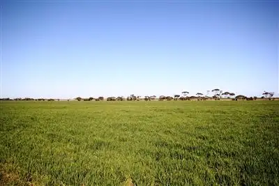 Seventh view of Homely rural property listing, 173 Didlyamulka road, Koolywurtie SA 5575