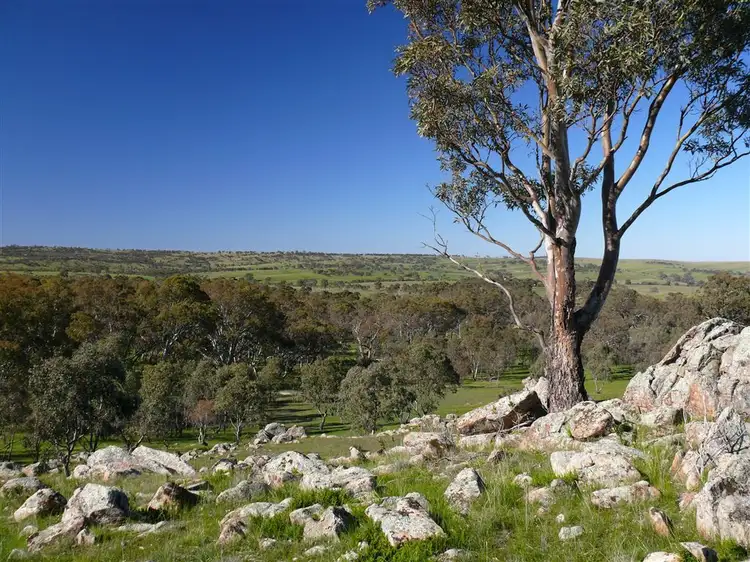 Lot 537 Murray Road, Keyneton SA 5353