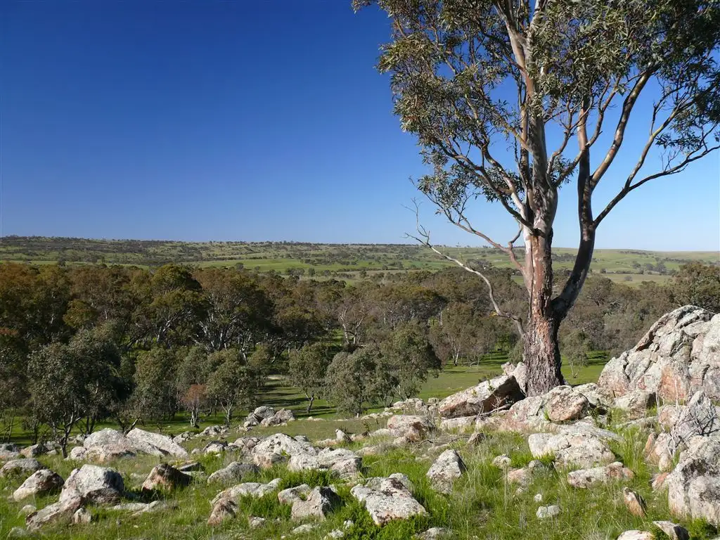 Main view of Homely rural property listing, Lot 537 Murray Road, Keyneton SA 5353