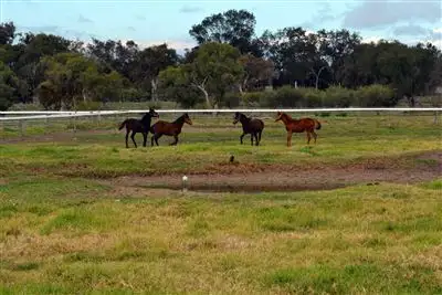 Fourth view of Homely rural property listing, 4761 Brand Hwy, Beermullah WA 6503