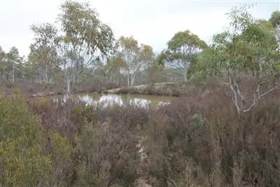 Sixth view of Homely rural property listing, 363 Farringdon Road, Braidwood NSW 2622