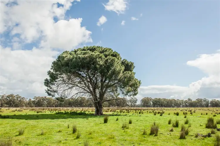 46 Hoskin Lane, Violet Town VIC 3669