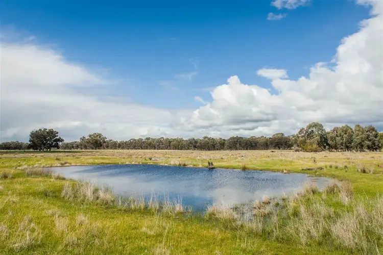 Third view of Homely rural property listing, 46 Hoskin Lane, Violet Town VIC 3669