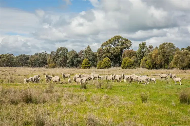Fifth view of Homely rural property listing, 46 Hoskin Lane, Violet Town VIC 3669