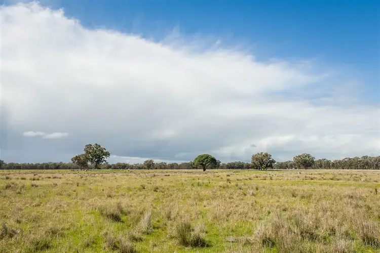 Sixth view of Homely rural property listing, 46 Hoskin Lane, Violet Town VIC 3669