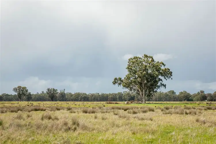 Seventh view of Homely rural property listing, 46 Hoskin Lane, Violet Town VIC 3669