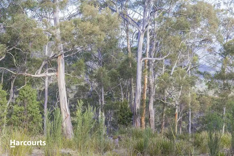 Fourth view of Homely land listing, Lot 4 Jacobsons Road, Judbury TAS 7109