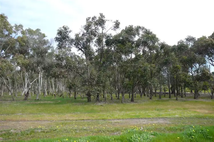 Fifth view of Homely land listing, L 302 Sinnott Rd, Boyup Brook WA 6244