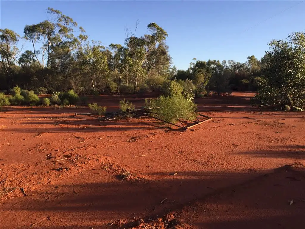 Main view of Homely rural property listing, Lot 3719 Mitchell Highway, Byrock NSW 2831